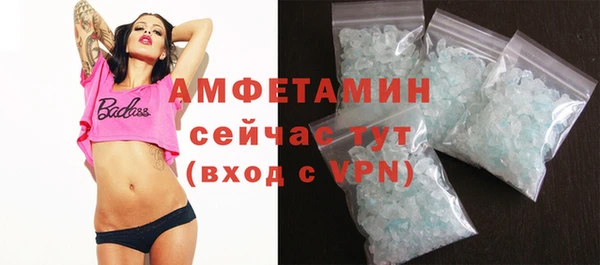 шишки Арсеньев