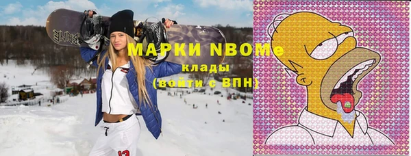 шишки Арсеньев