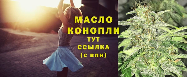 шишки Арсеньев