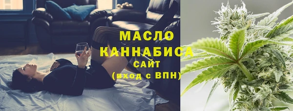 шишки Арсеньев