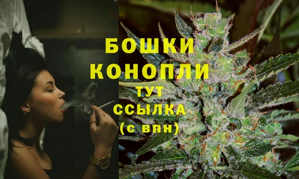 шишки Арсеньев