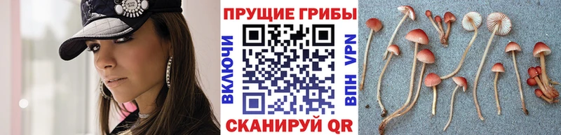 МЕГА онион  дарнет шоп  Похвистнево  Галлюциногенные грибы ЛСД 